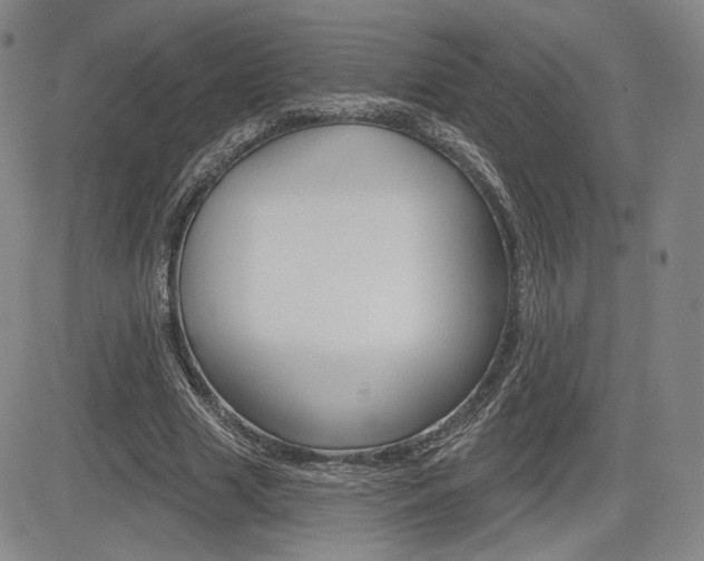 X0000085000633200703050936
