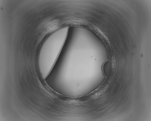 X0000085000637200703050936