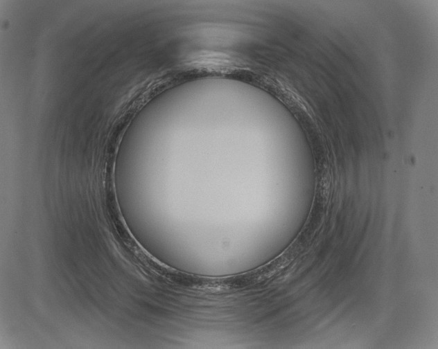 X0000085000639200703050936