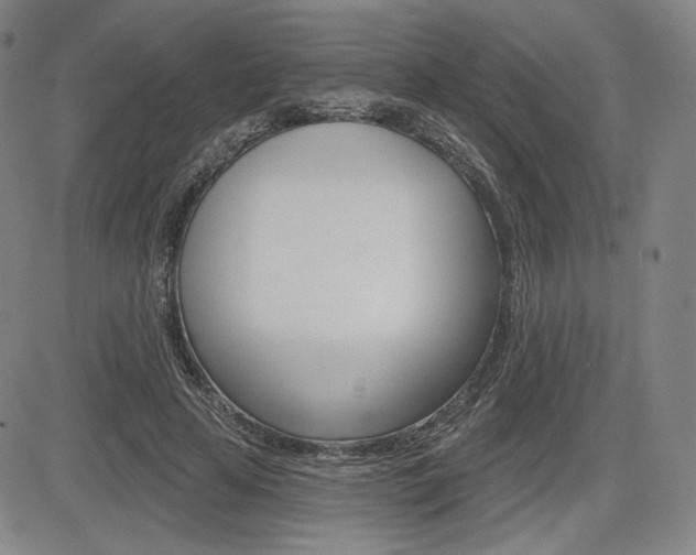 X0000085000641200703050937