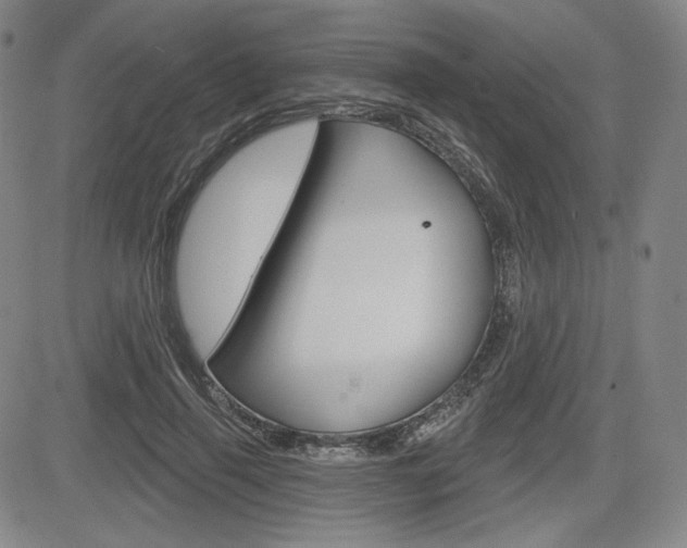 X0000085000645200703050937