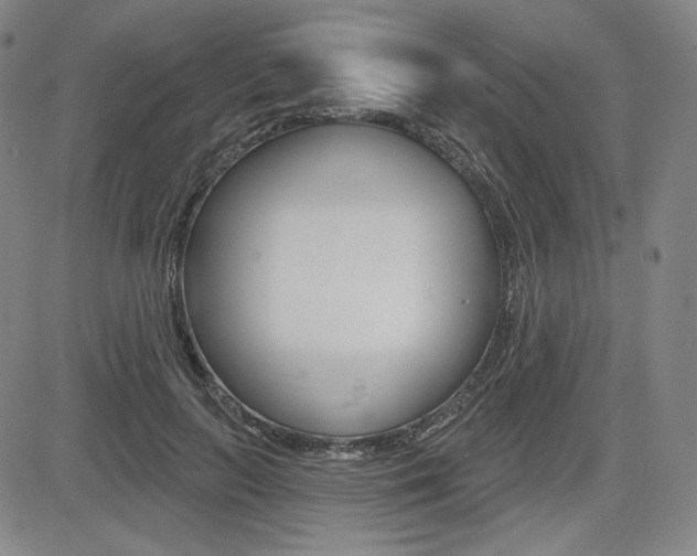X0000085000647200703050937