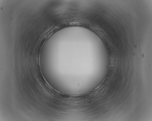 X0000085000648200703050937