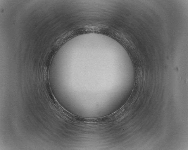 X0000085000649200703050937