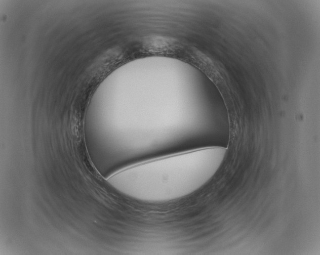 X0000085000653200703050937