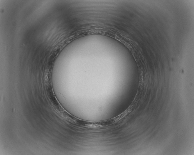 X0000085000654200703050937