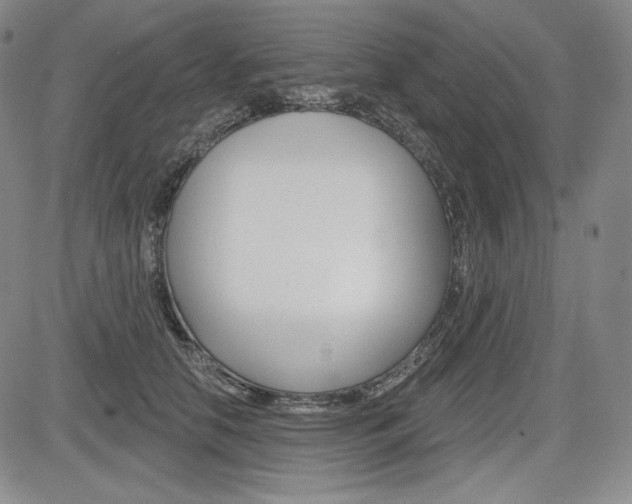 X0000085000658200703050937