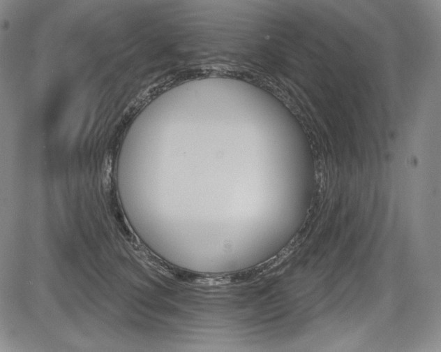 X0000085000660200703050937