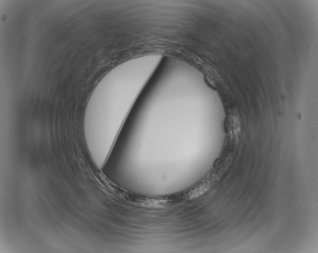 X0000085000664200703050937