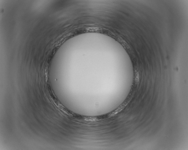 X0000085000666200703050937