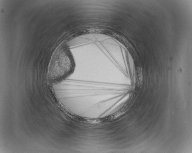 X0000085000667200703050937