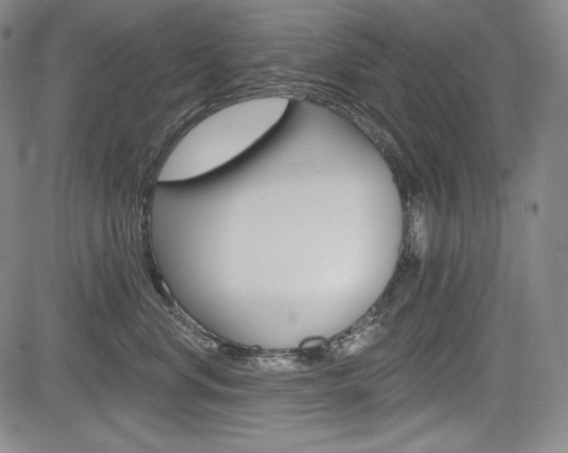 X0000085000668200703050937