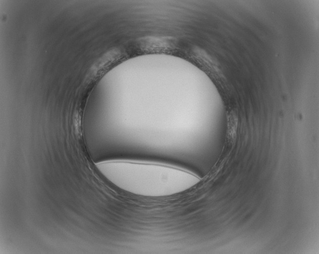 X0000085000669200703050937