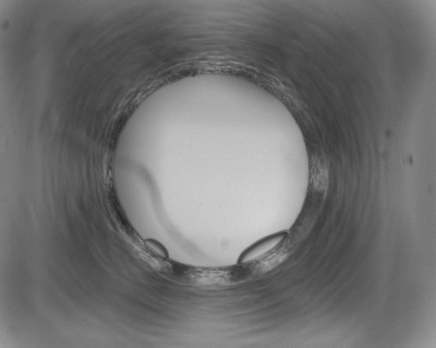 X0000085000670200703050937