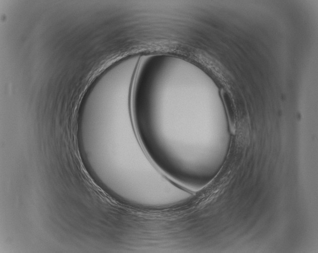 X0000085000673200703050936