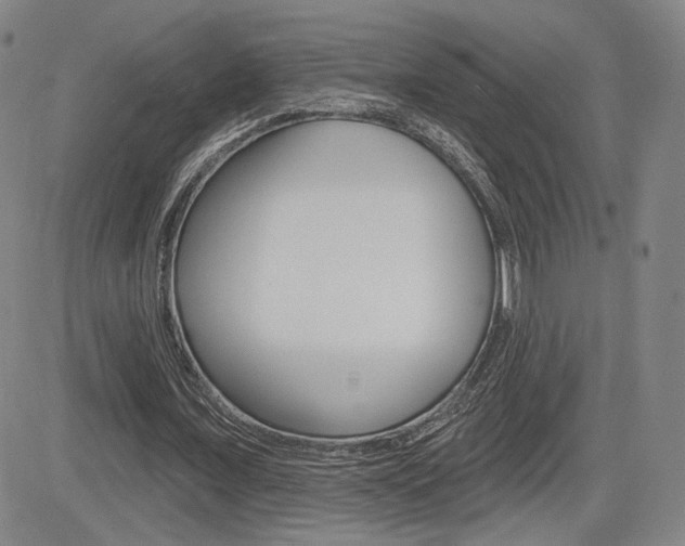 X0000085000675200703050936