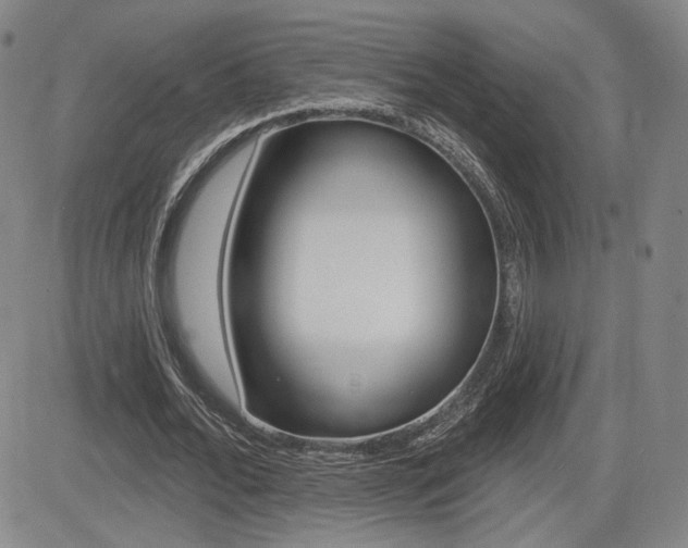 X0000085000676200703050936