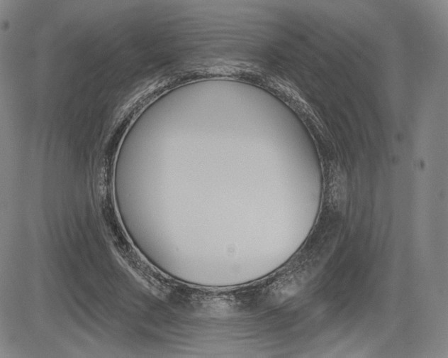 X0000085000683200703050936