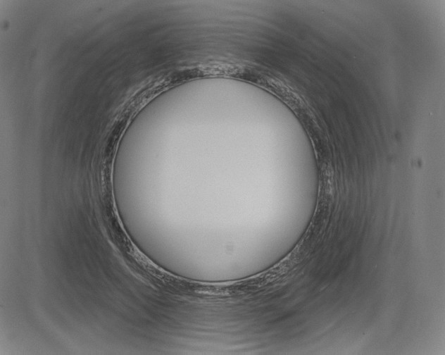 X0000085000690200703050936
