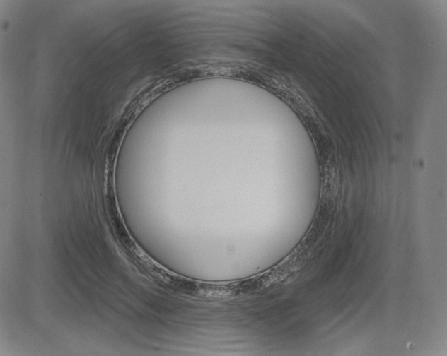 X0000085000694200703050936
