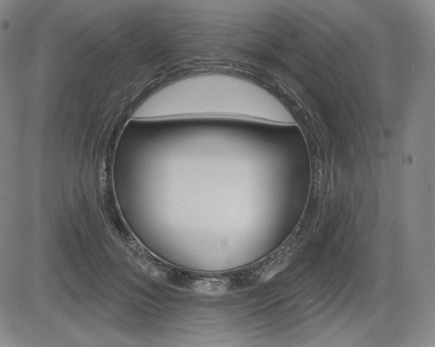 X0000085000700200703050936