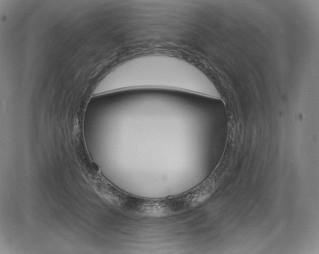 X0000085000704200703050936