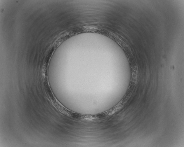 X0000085000710200703050936