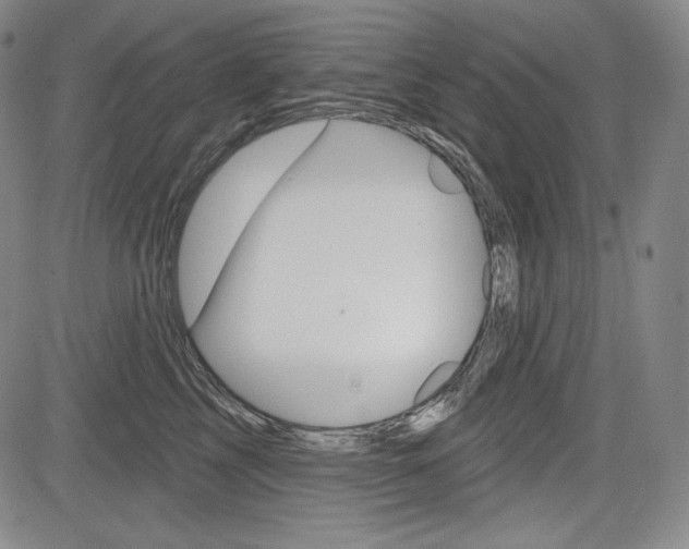 X0000085000713200703050936