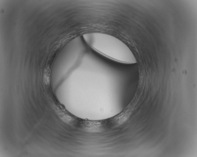 X0000085000719200703050935