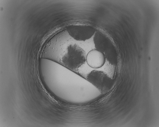 X0000085000721200703050935