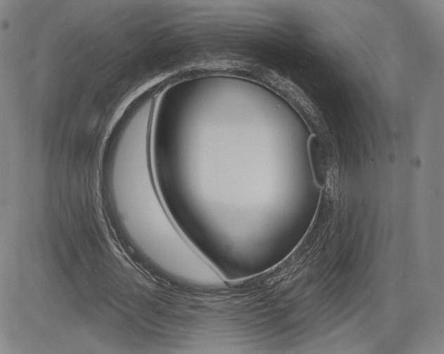X0000085000724200703050935