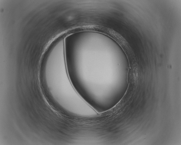 X0000085000728200703050935