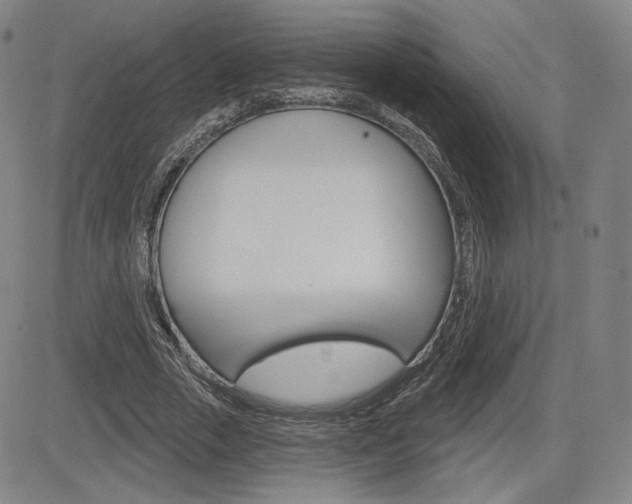 X0000085000729200703050935