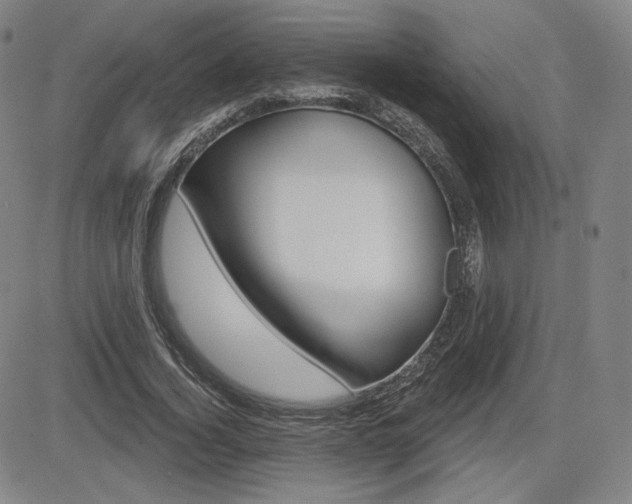 X0000085000732200703050935