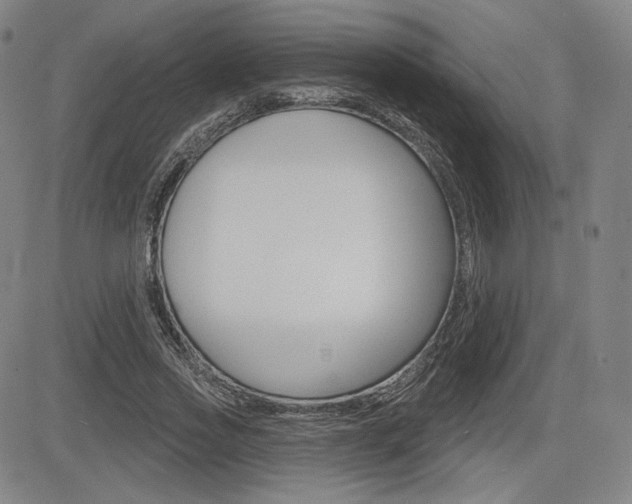 X0000085000733200703050935