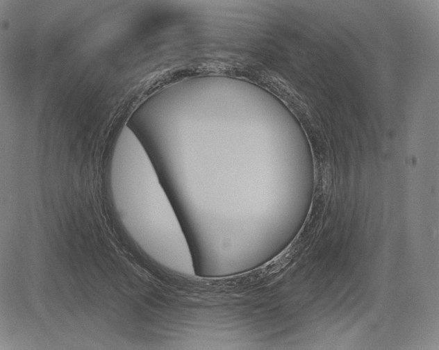 X0000085000737200703050935