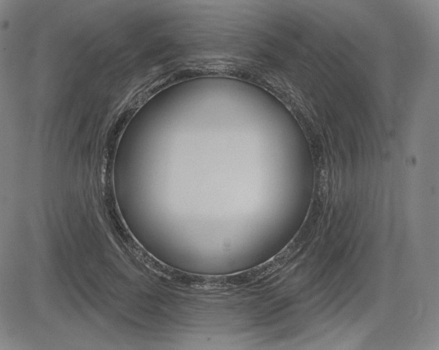 X0000085000739200703050935