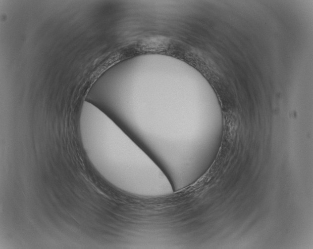 X0000085000745200703050935