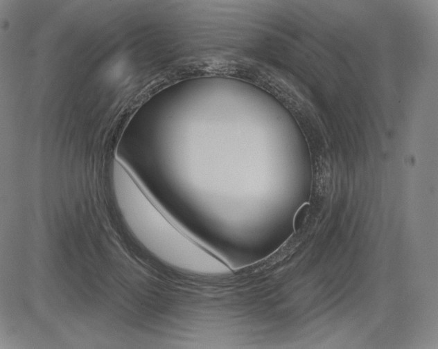 X0000085000748200703050935