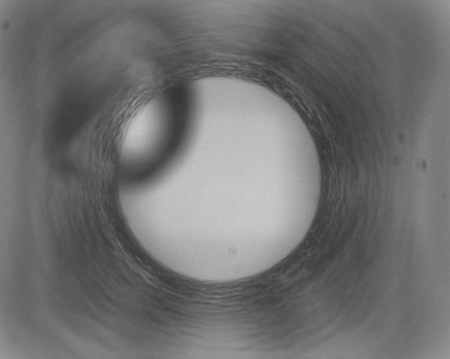 X0000085000750200703050935