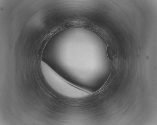 X0000085000752200703050935