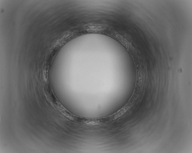 X0000085000755200703050935
