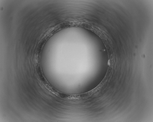 X0000085000756200703050935