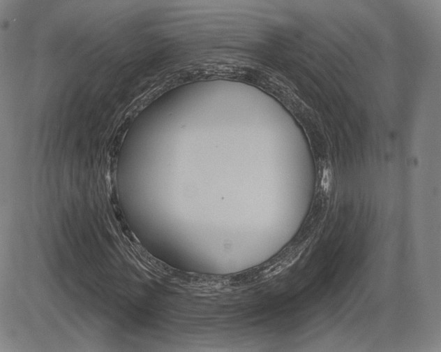 X0000085000771200703050935