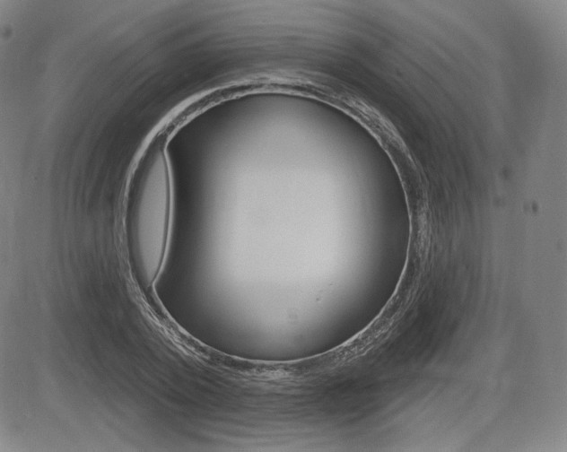 X0000085000784200703050934