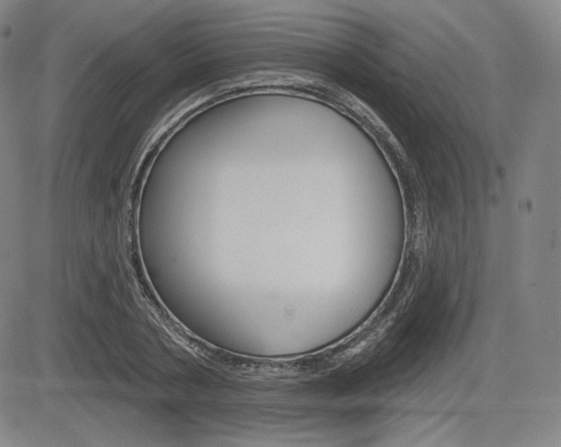 X0000085000786200703050934