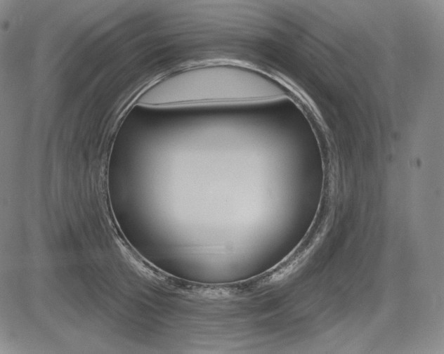 X0000085000801200703050934