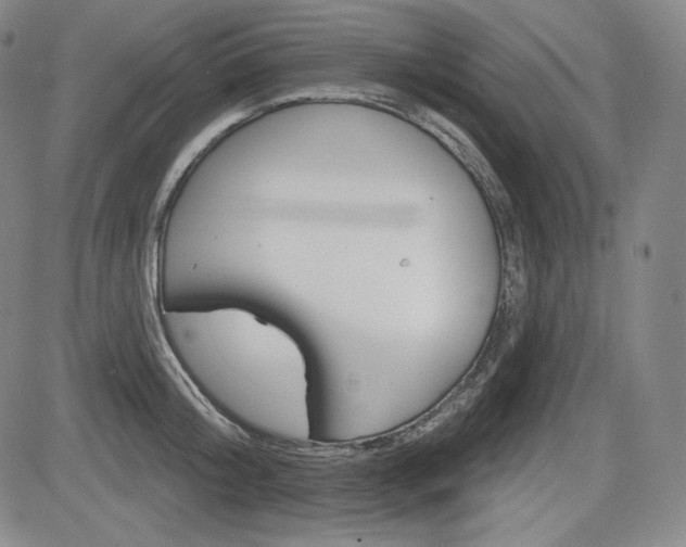 X0000085000804200703050934