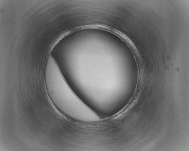 X0000085000809200703050934