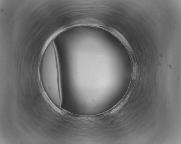 X0000085000812200703050934